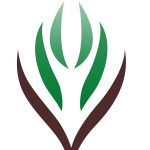 لجنة التنمية الاجتماعية بالرايس